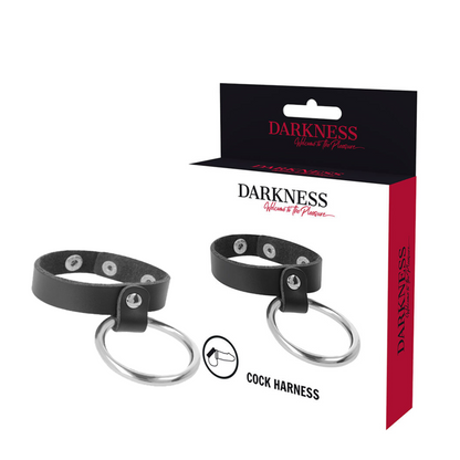 DARKNESS - METAL RING FOR PENIS AND TESTICLES