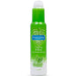 PASANTE - MINT FLAVOR LUBRICANT 75 ML