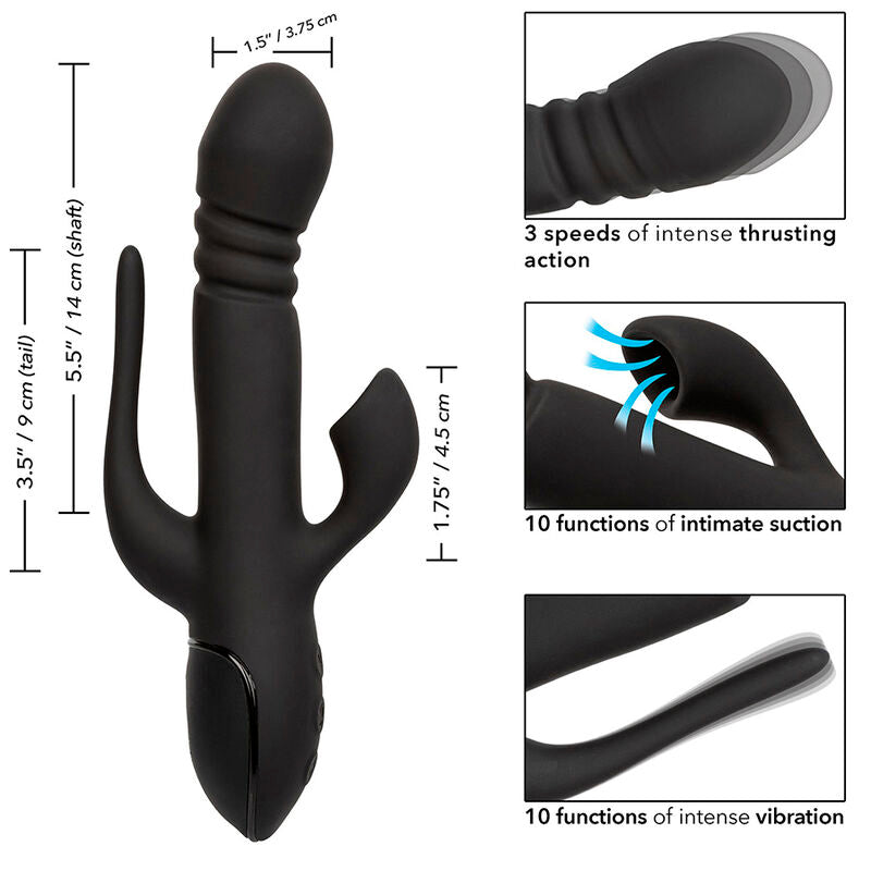 CALEXOTICS - EUPHORIA TRIPLE VIBRATOR BLACK