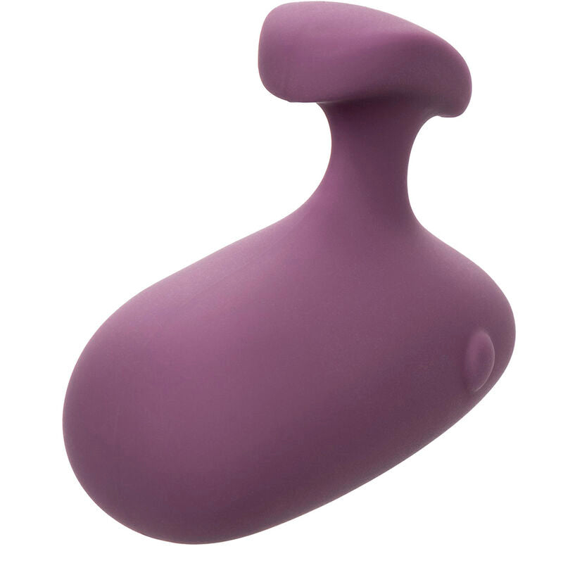 CALEXOTICS - MOD TOUCH PURPLE STIMULATOR