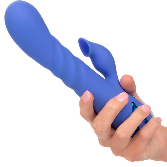 CALEXOTICS - LA LOVE VIBRATOR &amp; SUCKER BLUE BY CALIFORNIA DREAMING