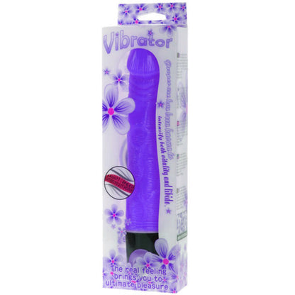 BAILE - VIBRATOR MULTISPEED 21.5 CM MORADO