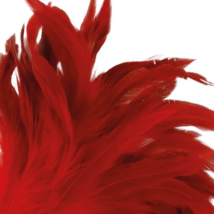 DARKNESS - RED STIMULATING FEATHER 24CM