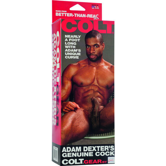 CALEXOTICS - COLT REALISTIC PENIS ADAM DEXTER